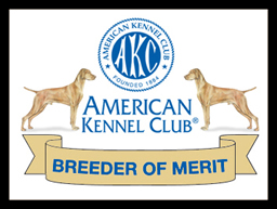 AKC Breeder of Merit